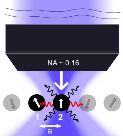 image from Preserving a qubit during adjacent measurements at a few micrometers distance